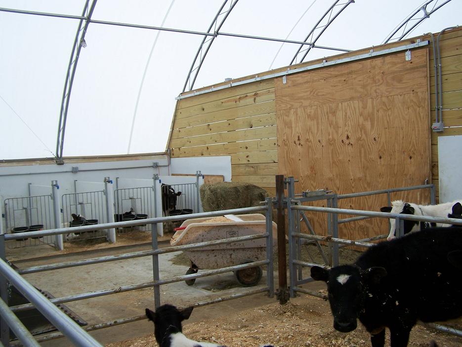 Calf Barn